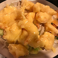 Fantastic Shrimp